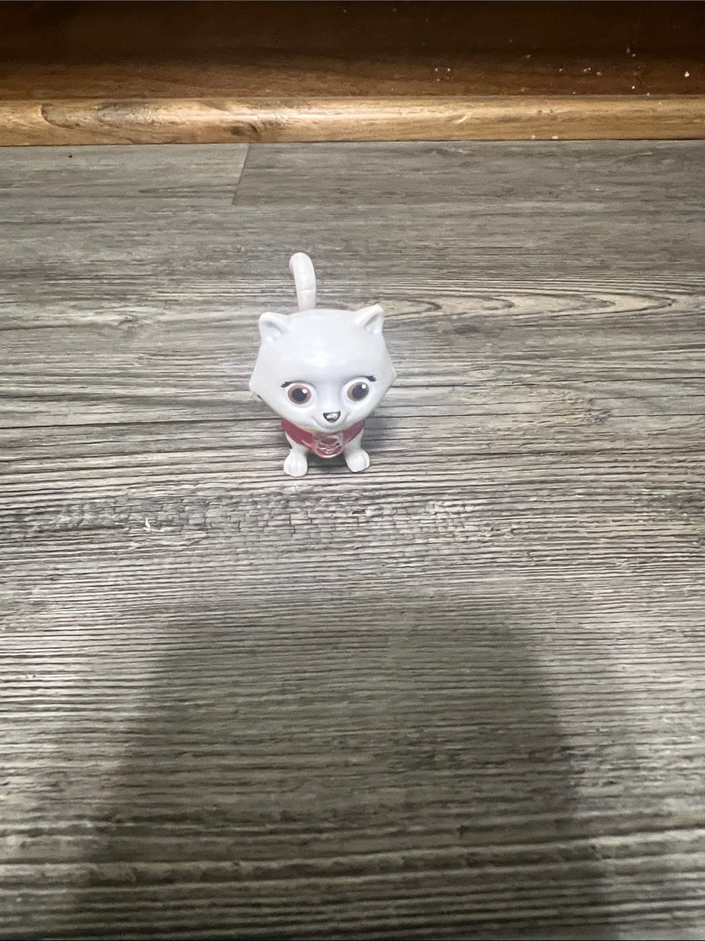 Paw Patrol Kitties - Picture 4 of 5